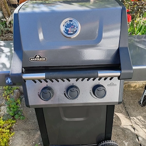 Napoleon Freestyle 365 Graphit