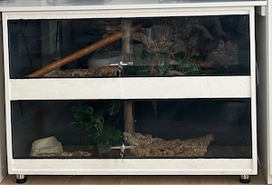 Tausche großes Terrarium (120x60x80) gegen Königspython