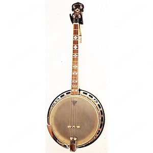 Mitmusiker für Folk Songs gesucht
