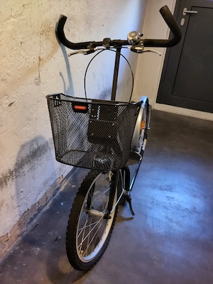 Roller mit Einkaufskorb