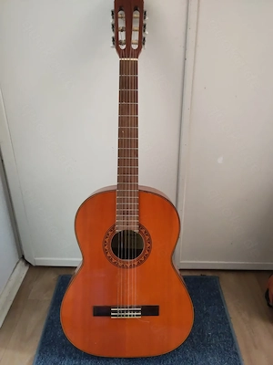 Gitarre für Erwachsene mit Tasche