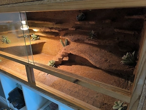 Terrarium 120x50x50 Preis bei Abholung heute (So.  ) bis 19:30 Uhr  Bild 2