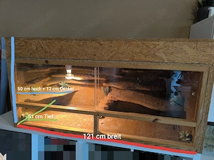Terrarium 120x50x50 Preis bei Abholung heute (So.  ) bis 19:30 Uhr  Bild 3