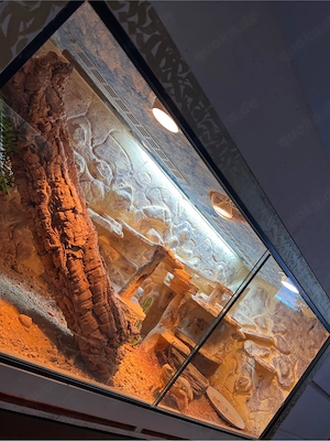 Bartagame ink terrarium 