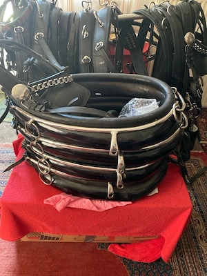 englisches kumt vierspänner WB