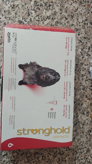 stronghold für Hunde