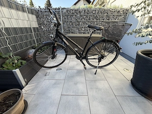  Top gepflegtes Pegasus Premio Superlite Disc   Damenrad (50 cm)