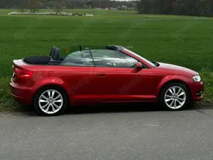 Audi A3 A3 Cabriolet 2.0 TDI DPF S Line Sportpaket