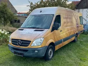 Mercedes-Benz Sprinter 313 CDI Sprinter 906.231 EEV Bild 2
