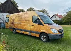 Mercedes-Benz Sprinter 313 CDI Sprinter 906.231 EEV Bild 3