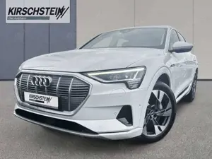 Audi e-tron 50 quattro advanced WR 360 Kamera Navigation