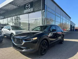 Mazda CX-30 CX-30 2.5L e-SKYACTIV G 140ps 6AT Homura