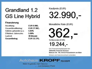 Opel Grandland 1.2 GS Line Hybrid Allwetter Navi Bild 2
