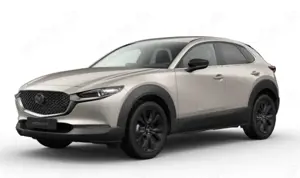Mazda CX-30 Homura 2.5L Automatik 140ps *ACC/KAMERA/SHZ/ACAA*