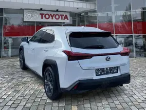 Lexus UX 250h UX 250 h Style Edition 8fach Bereift*wenig KM Bild 4