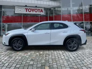 Lexus UX 250h UX 250 h Style Edition 8fach Bereift*wenig KM Bild 2