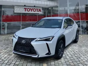 Lexus UX 250h UX 250 h Style Edition 8fach Bereift*wenig KM