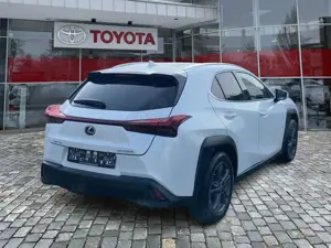 Lexus UX 250h UX 250 h Style Edition 8fach Bereift*wenig KM Bild 5