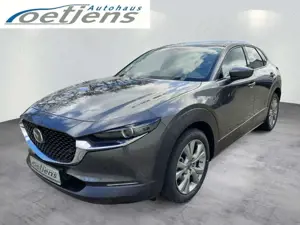 Mazda CX-30 2.5L Exclusive 140 PS Automatik