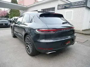 Porsche Macan Basis LED Sport Design Pano Luftfed. Bose Spur Kam Bild 3