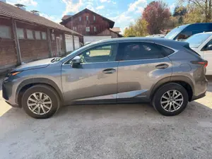 Lexus NX 300