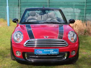 MINI Cooper Cabrio    "Blickfang" Bild 2