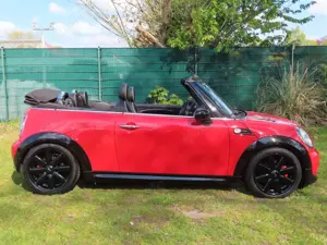 MINI Cooper Cabrio    "Blickfang" Bild 4