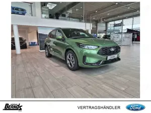 Ford Kuga 2.5 Duratec FHEV ST-LINE | WINTER Paket | R.Kam.