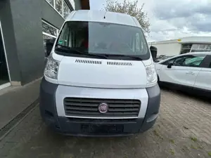 Fiat Ducato Hochr.-Kasten 30 115 KÜHLWAGEN