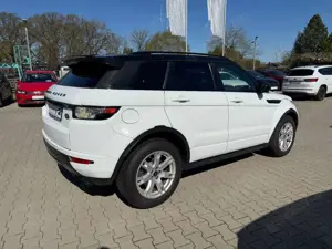 Land Rover Range Rover Evoque Range Evoque 2.2 Aut. ASSI. Leder Kamera PDC 1.H Bild 5