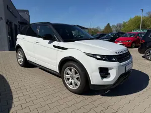 Land Rover Range Rover Evoque Range Evoque 2.2 Aut. ASSI. Leder Kamera PDC 1.H Bild 4