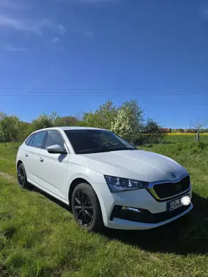 Skoda Scala Ambition