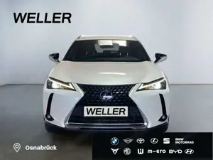 Lexus UX 250h Style Edition *Bi-LED*ACC*CAM*SHZ*CarPlay* Bild 2