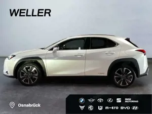 Lexus UX 250h Style Edition *Bi-LED*ACC*CAM*SHZ*CarPlay* Bild 5