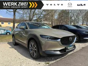 Mazda CX-30 Exclusive-Line Automatik 2.0L e-SKYACTIV X 186PS