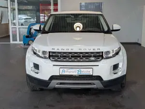 Land Rover Range Rover Evoque 4x4 Pamorama*KAM*Leder* Bild 4