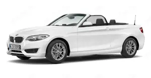 BMW 218 i Cabrio Sportsz.PDC.SHZ.FSE.RDC.Regens...
