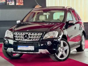 Mercedes-Benz ML 420 V8 CDI AMG Paket Glasdach Kamera Airmatic
