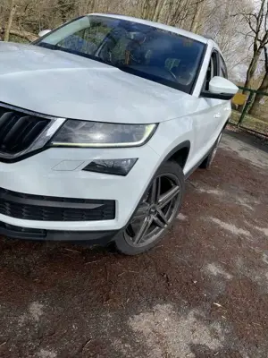 Skoda Kodiaq 2.0 TDI DSG Ambition