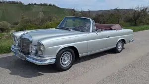 Mercedes-Benz 250 SE  Cabrio BJ 1967