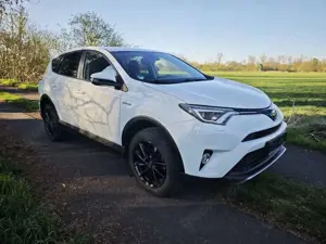 Toyota RAV 4 Team D