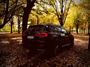 BMW X5 X5 xDrive30d Bild 4