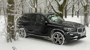 BMW X5 X5 xDrive30d Bild 2