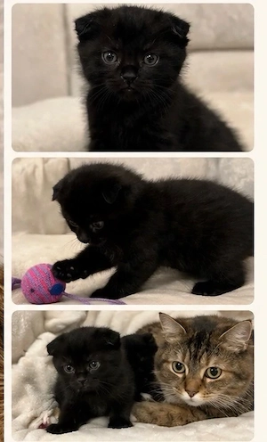 EKH baby nur in gute hände