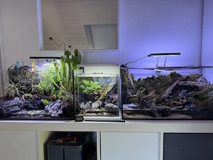 3xPaludarium für Einsteiger oder weiter basteln