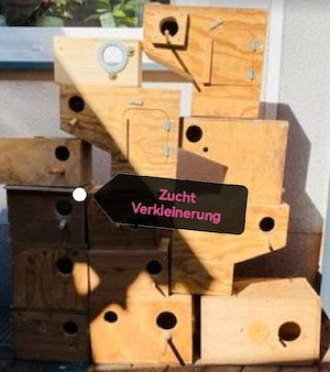 Brut Kästen für Sittiche 