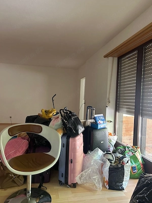 Transporter + Fahrer 