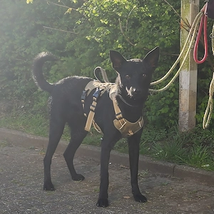 Aron sucht zuhause 