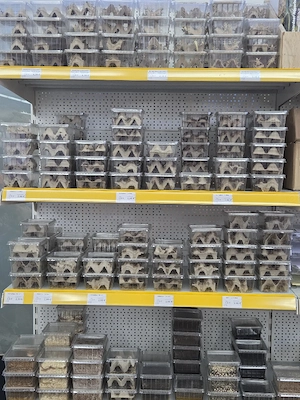 Futtertiere jede Woche neu auch als Versand möglich 