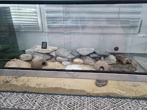 Leopardgecko Terrarium